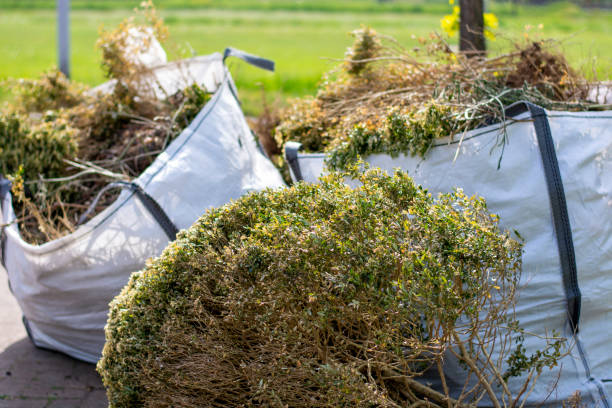 Best Attic Cleanout Services  in Treasure Island, FL